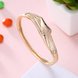 Wholesale Trendy Champagne Gold Hollow out CZ Bangle TGGPBL054 1 small