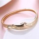 Wholesale Trendy Champagne Gold Hollow out CZ Bangle TGGPBL054 2 small