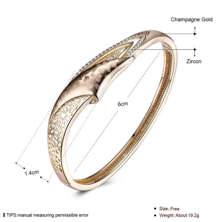 Wholesale Trendy Champagne Gold Hollow out CZ Bangle TGGPBL054 3