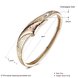 Wholesale Trendy Champagne Gold Hollow out CZ Bangle TGGPBL054 3 small