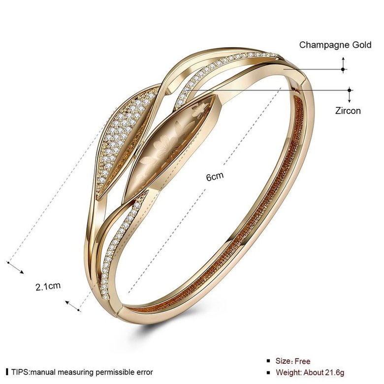 Wholesale Champagne Gold Fashion CZ Bangle TGGPBL056 3