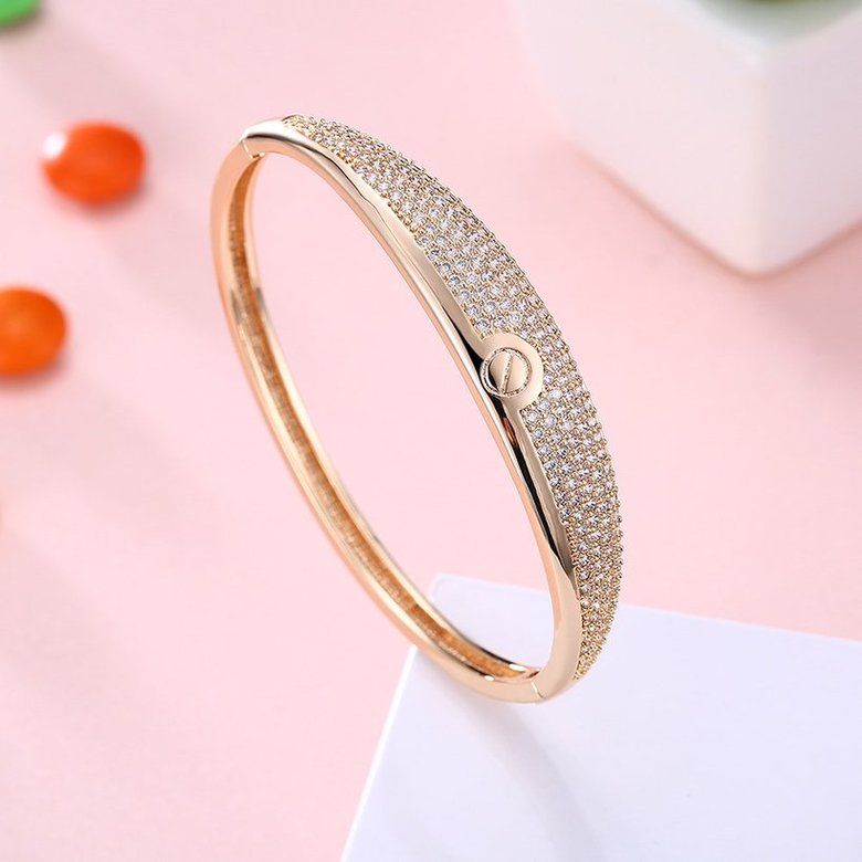 Wholesale Fashion Champagne Gold Simple style CZ Bangle TGGPBL064 1