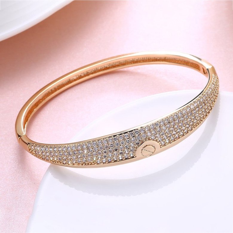 Wholesale Fashion Champagne Gold Simple style CZ Bangle TGGPBL064 2