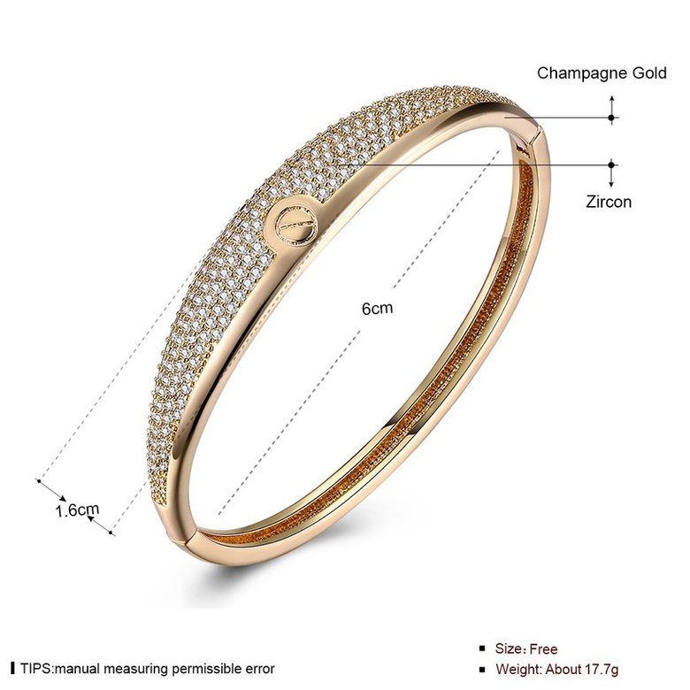 Wholesale Fashion Champagne Gold Simple style CZ Bangle TGGPBL064 3