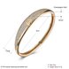 Wholesale Fashion Champagne Gold Simple style CZ Bangle TGGPBL064 3 small