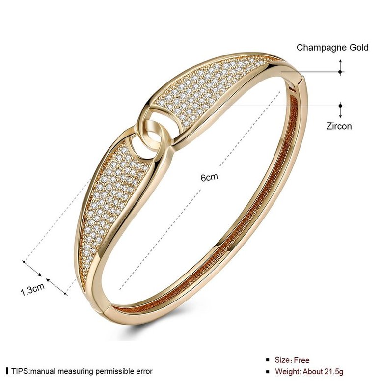 Wholesale Intersect Champagne Gold CZ Bangle TGGPBL074 3