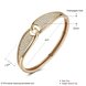 Wholesale Intersect Champagne Gold CZ Bangle TGGPBL074 3 small