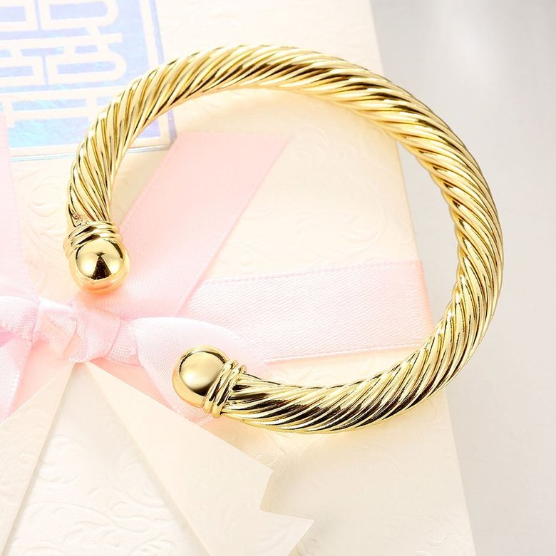 Wholesale Trendy 24K Gold Round Bangle&Cuff TGGPBL125 3