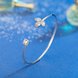 Wholesale Trendy Imitation Rhodium Plant Clear CZ Bangle&Cuff TGGPBL142 4 small