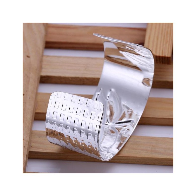 Wholesale Trendy Silver Insect Bangle&Cuff TGSPBL005 2