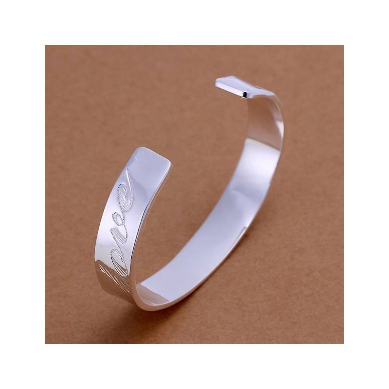 Wholesale Trendy Silver Round Bangle&Cuff TGSPBL020 0