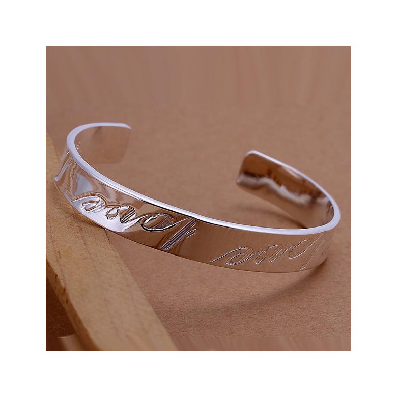 Wholesale Trendy Silver Round Bangle&Cuff TGSPBL020 1