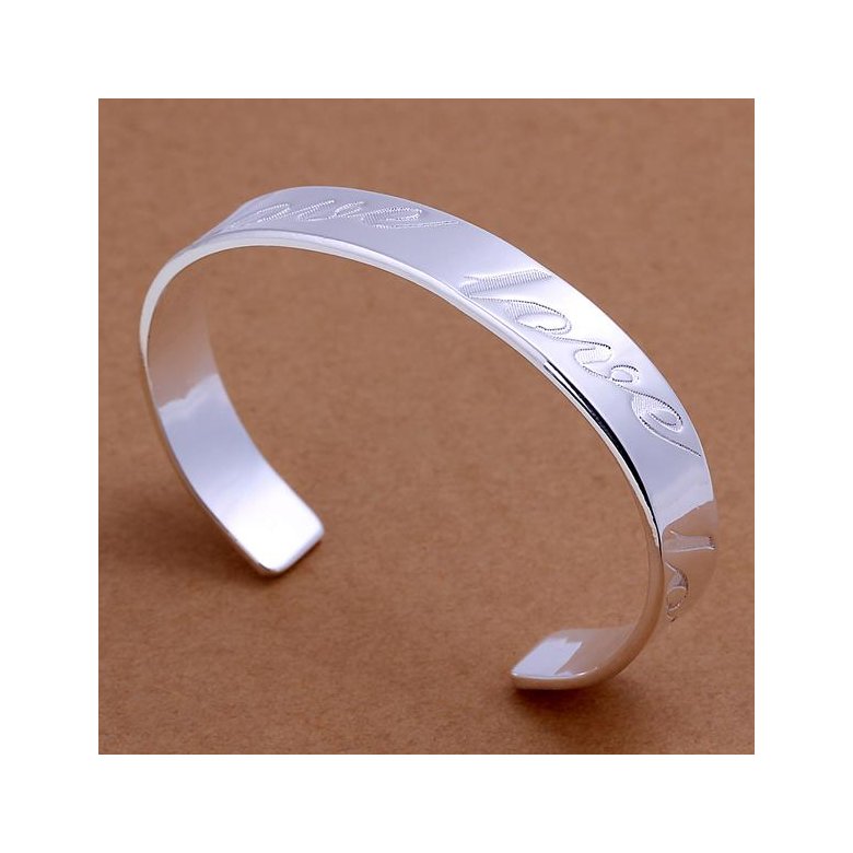 Wholesale Trendy Silver Round Bangle&Cuff TGSPBL020 2