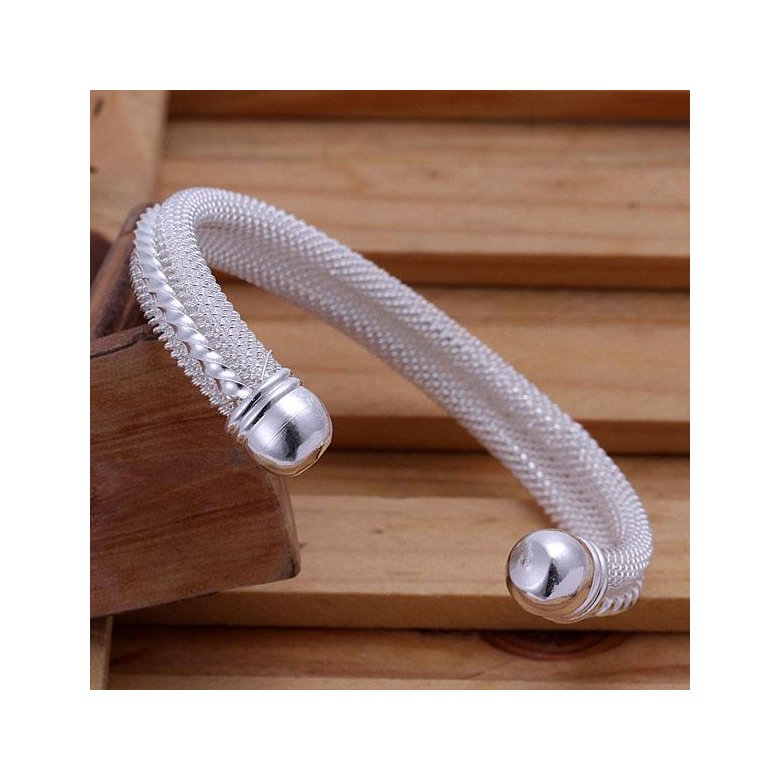 Wholesale Classic Silver Round Bangle&Cuff TGSPBL030 1