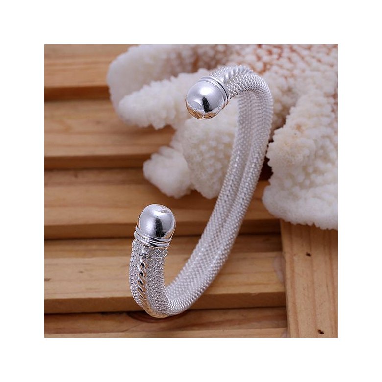 Wholesale Classic Silver Round Bangle&Cuff TGSPBL030 2