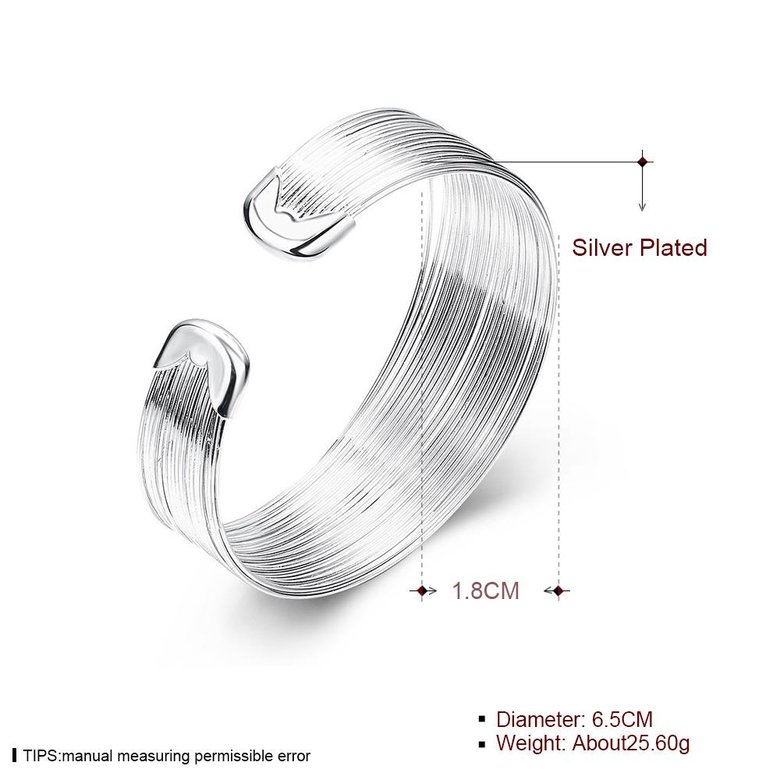 Wholesale Classic Silver Round Bangle&Cuff TGSPBL034 2