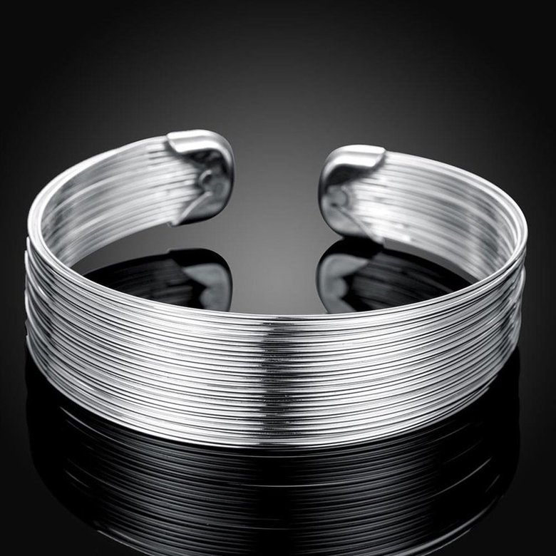 Wholesale Classic Silver Round Bangle&Cuff TGSPBL034 3