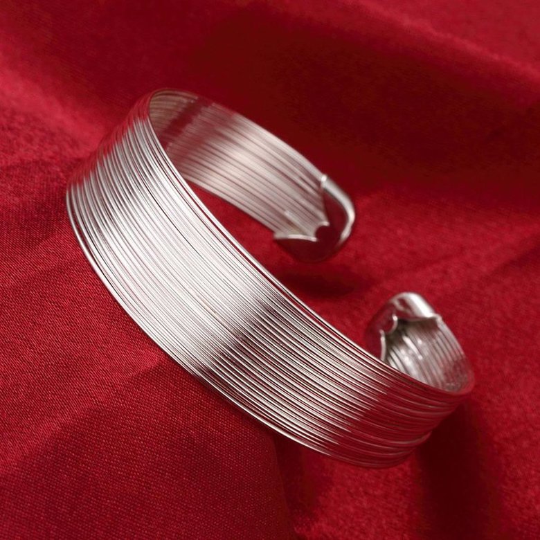 Wholesale Classic Silver Round Bangle&Cuff TGSPBL034 4