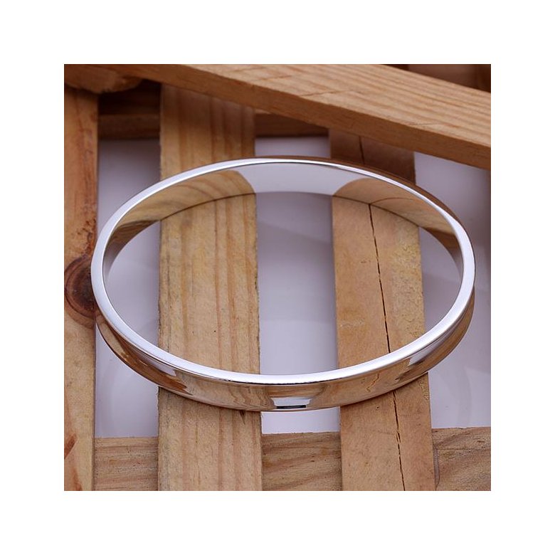 Wholesale Trendy Silver Round Bangle&Cuff TGSPBL038 1