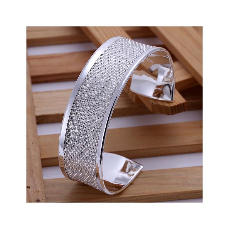 Wholesale Trendy Silver Round Bangle&Cuff TGSPBL061 1