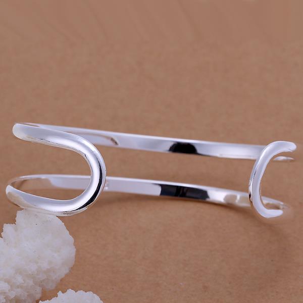 Wholesale Romantic Silver Round Bangle&Cuff TGSPBL066 0