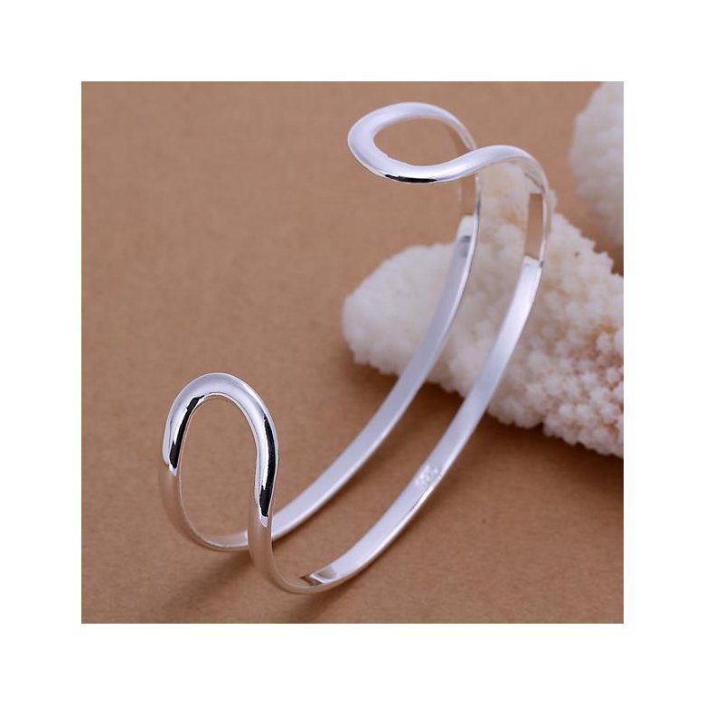 Wholesale Romantic Silver Round Bangle&Cuff TGSPBL066 2