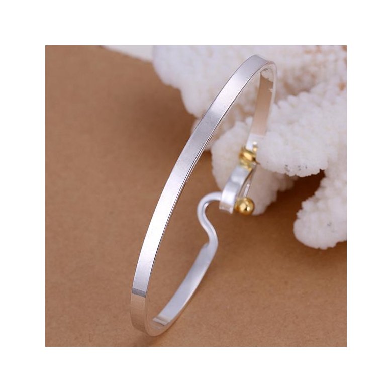 Wholesale Classic Silver Round Bangle&Cuff TGSPBL067 2