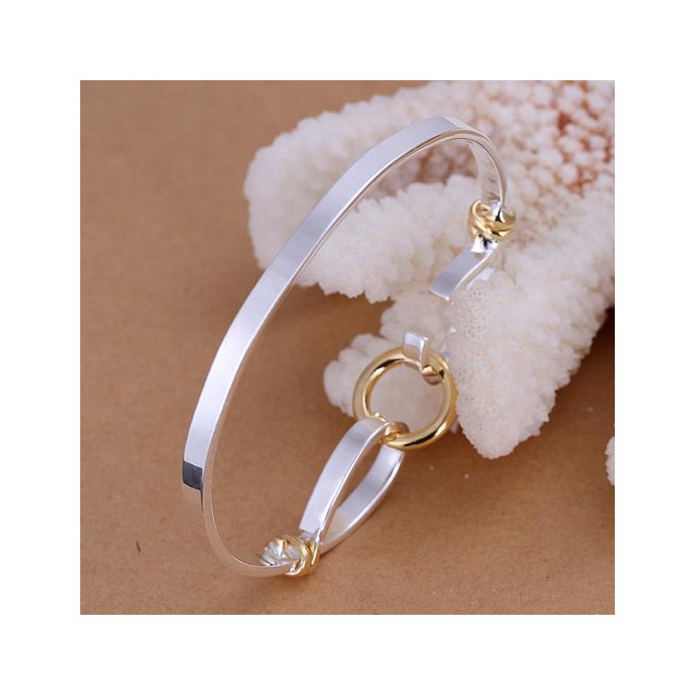 Wholesale Classic Silver Round Bangle&Cuff TGSPBL073 1