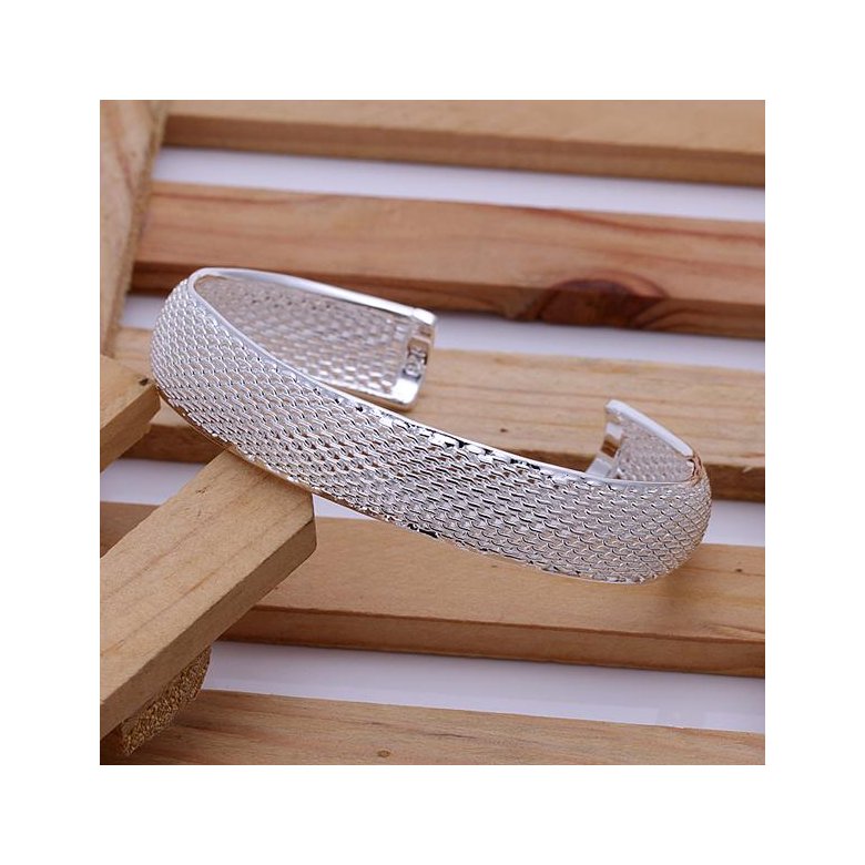 Wholesale Romantic Silver Round Bangle&Cuff TGSPBL081 2