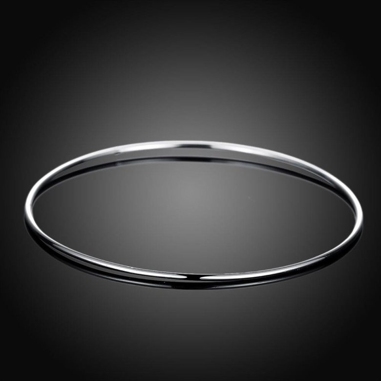 Wholesale Trendy Silver Round Bangle&Cuff TGSPBL089 1