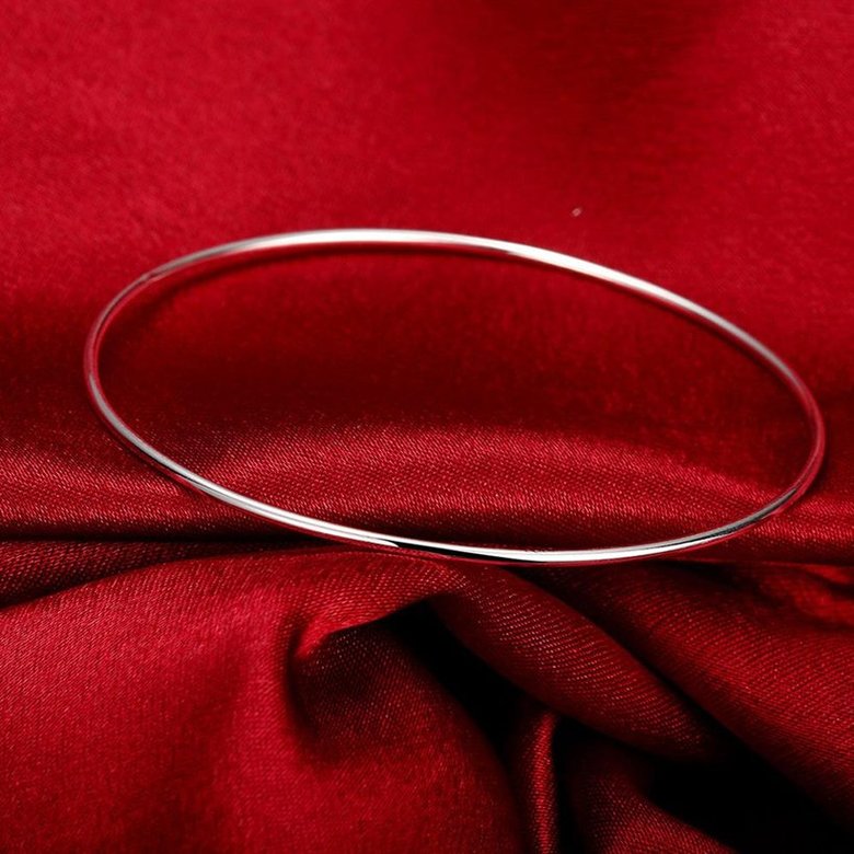 Wholesale Trendy Silver Round Bangle&Cuff TGSPBL089 2