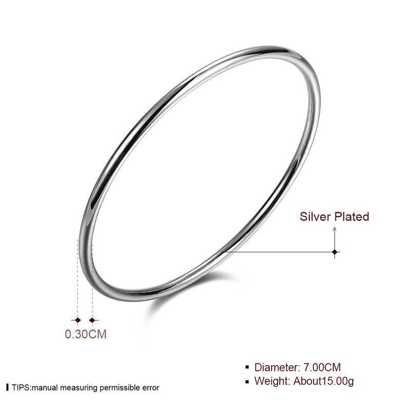 Wholesale Romantic Silver Round Bangle&Cuff TGSPBL090 0