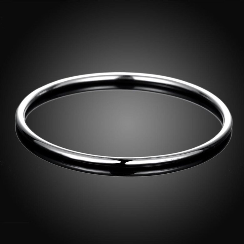 Wholesale Romantic Silver Round Bangle&Cuff TGSPBL090 1