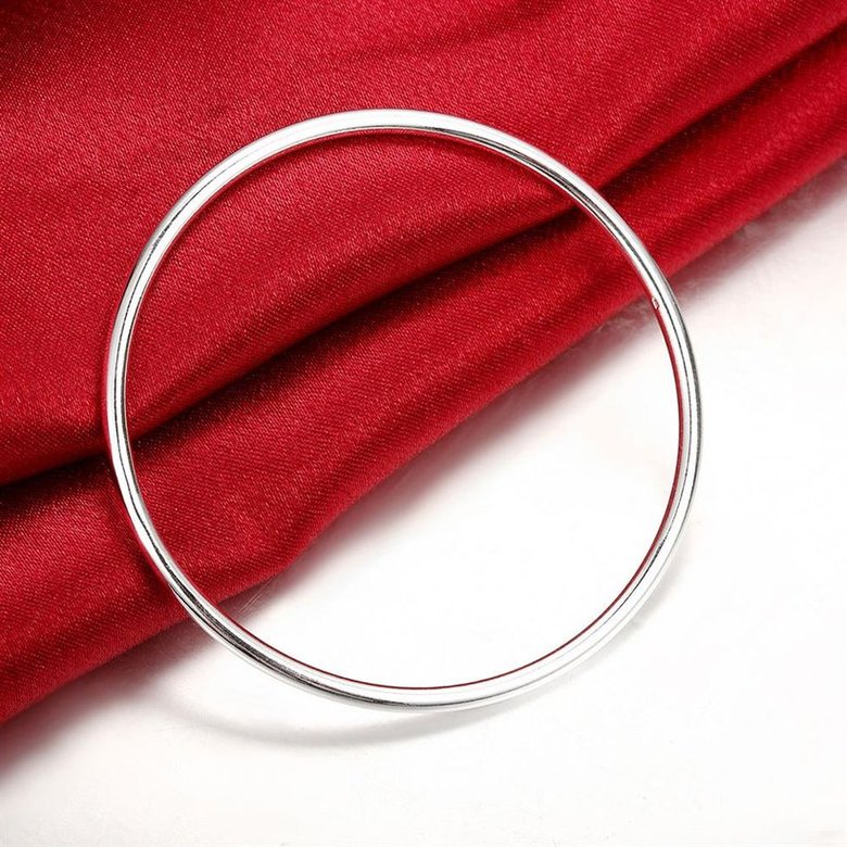 Wholesale Romantic Silver Round Bangle&Cuff TGSPBL090 3