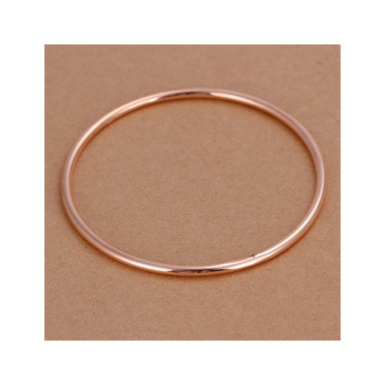 Wholesale Trendy Silver Round Bangle&Cuff TGSPBL091 2