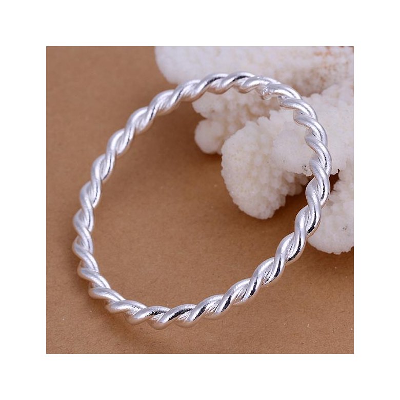Wholesale Romantic Silver Round Bangle&Cuff TGSPBL097 1