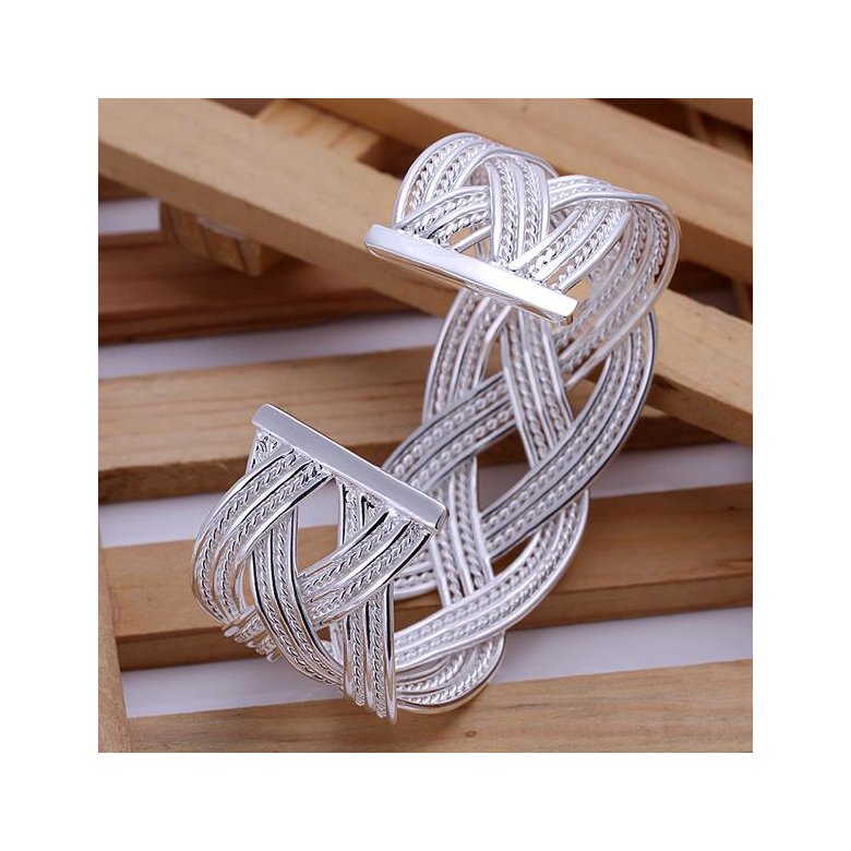 Wholesale Classic Silver Plant Bangle&Cuff TGSPBL099 2