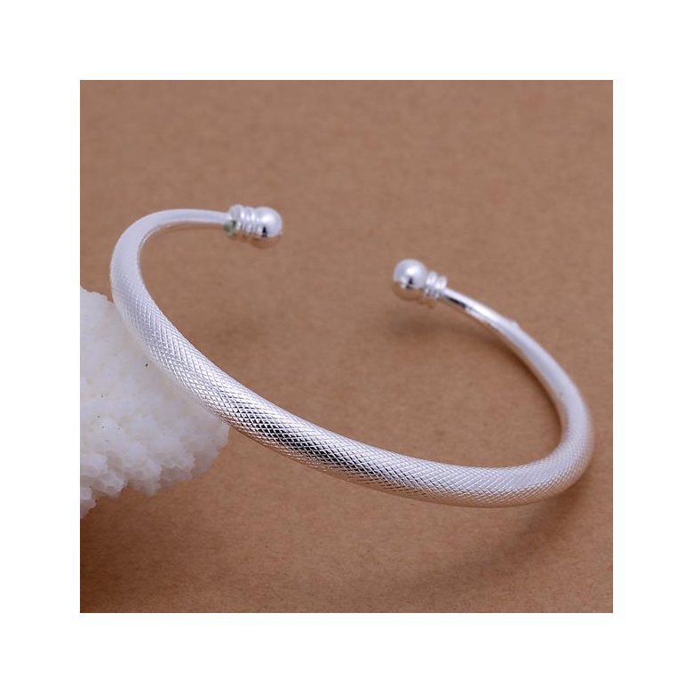 Wholesale Romantic Silver Round Bangle&Cuff TGSPBL103 1