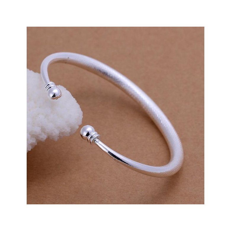 Wholesale Romantic Silver Round Bangle&Cuff TGSPBL103 2