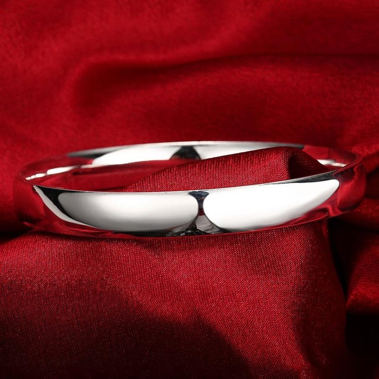 Wholesale Romantic Silver Round Bangle&Cuff TGSPBL107 2