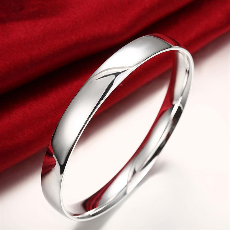 Wholesale Romantic Silver Round Bangle&Cuff TGSPBL107 3