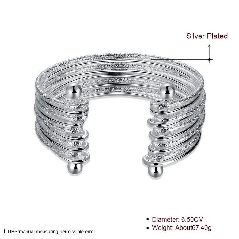 Wholesale Classic Silver Round Bangle&Cuff TGSPBL128 1