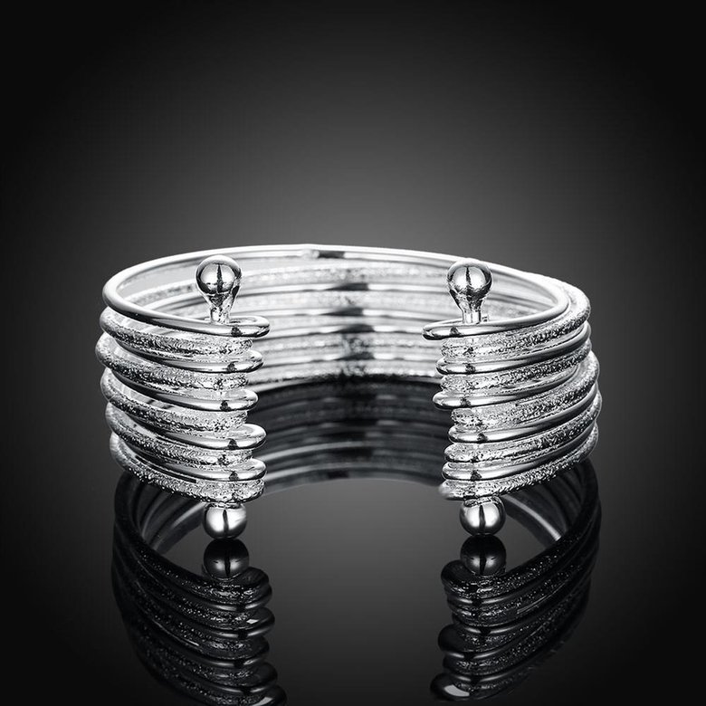 Wholesale Classic Silver Round Bangle&Cuff TGSPBL128 2