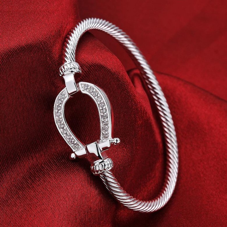 Wholesale Trendy Silver Water Drop CZ Bangle&Cuff TGSPBL141 2