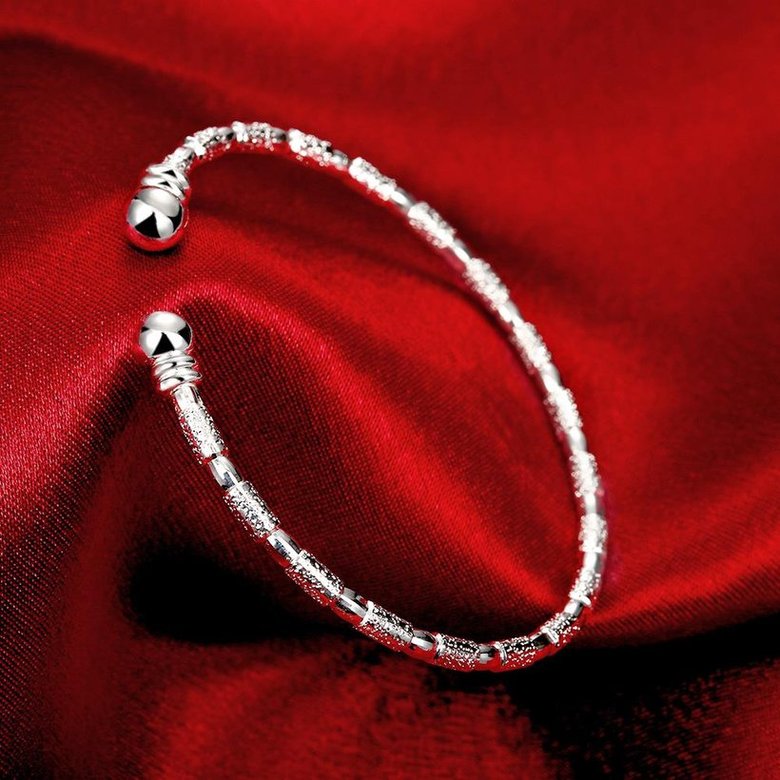 Wholesale Trendy Silver Round Bangle&Cuff TGSPBL155 2