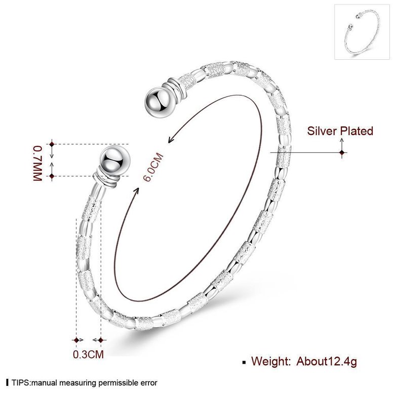 Wholesale Trendy Silver Round Bangle&Cuff TGSPBL155 3