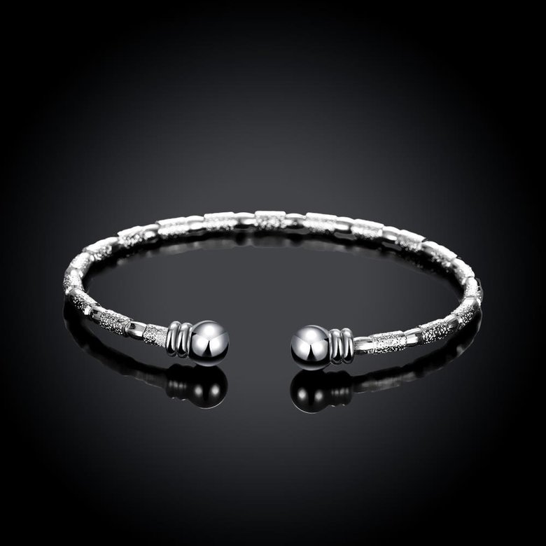 Wholesale Trendy Silver Round Bangle&Cuff TGSPBL155 4