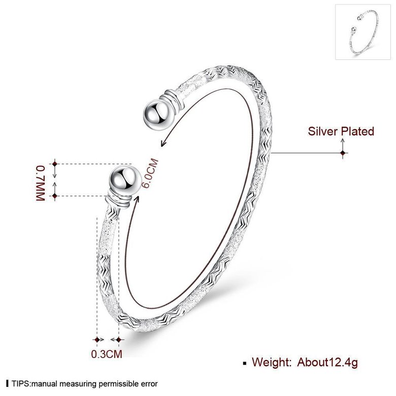 Wholesale Trendy Silver Round Bangle&Cuff TGSPBL156 0