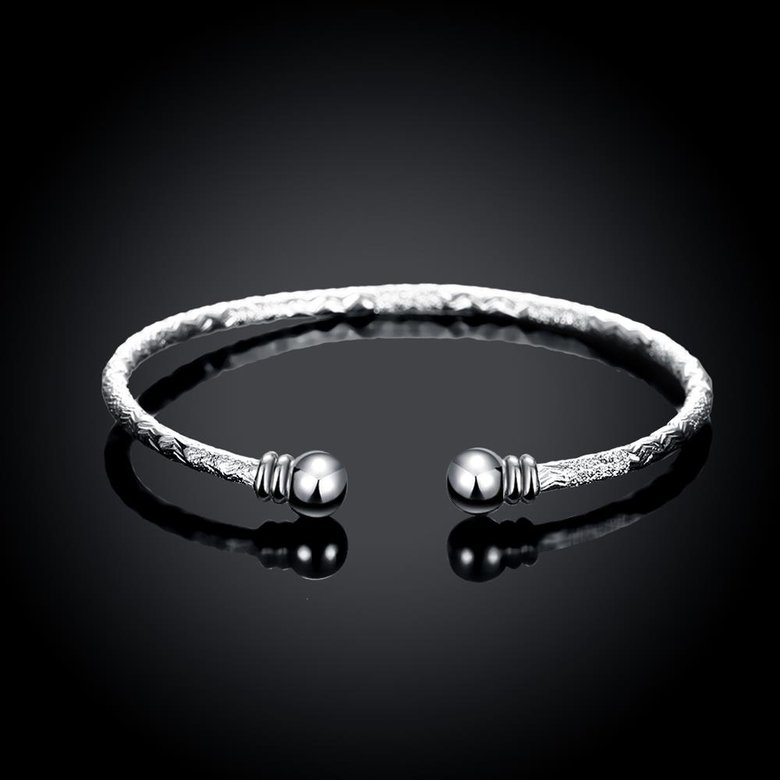 Wholesale Trendy Silver Round Bangle&Cuff TGSPBL156 1