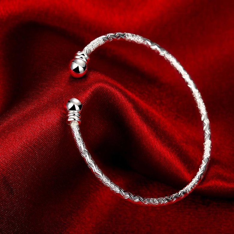 Wholesale Trendy Silver Round Bangle&Cuff TGSPBL156 2